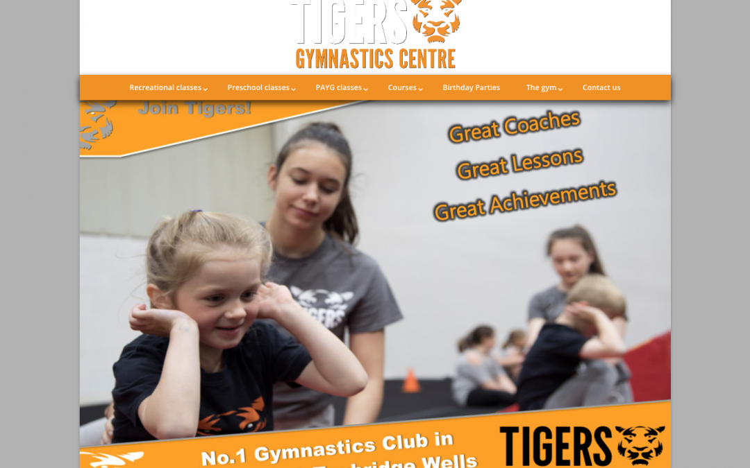 Tigers Gymnastic
